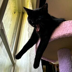 Meet your Posher, Valerie